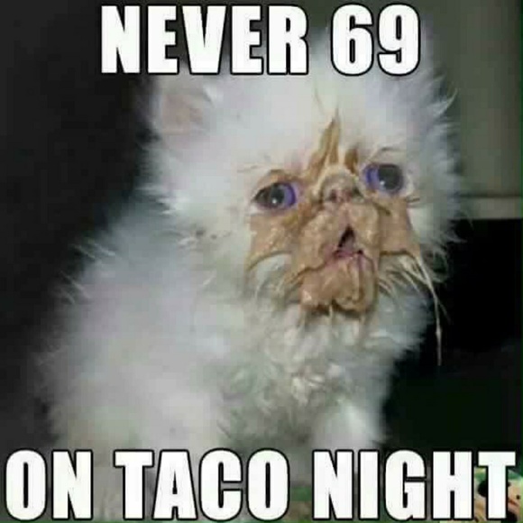 Meet your Posher, Guiddo - Picture 1 of 1